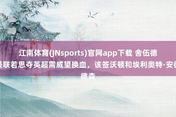 江南体育(JNsports)官网app下载 舍伍德：曼联若思夺英超需威望换血，该签沃顿和埃利奥特·安德森