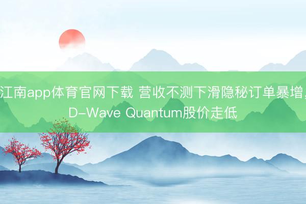 江南app体育官网下载 营收不测下滑隐秘订单暴增，D-Wave Quantum股价走低