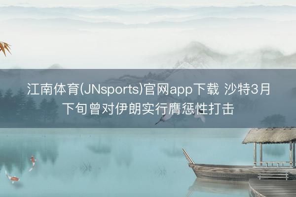 江南体育(JNsports)官网app下载 沙特3月下旬曾对伊朗实行膺惩性打击