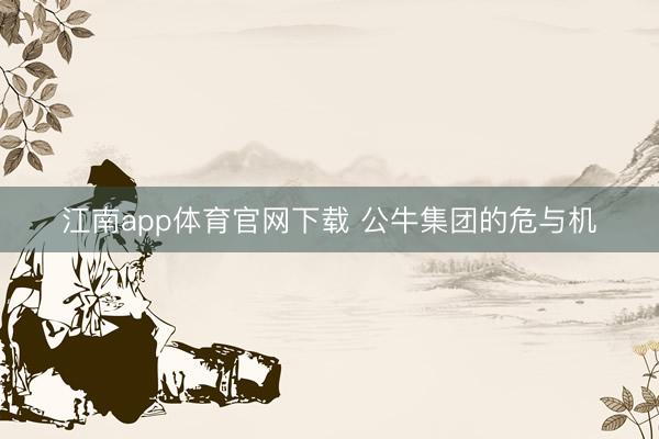 江南app体育官网下载 公牛集团的危与机