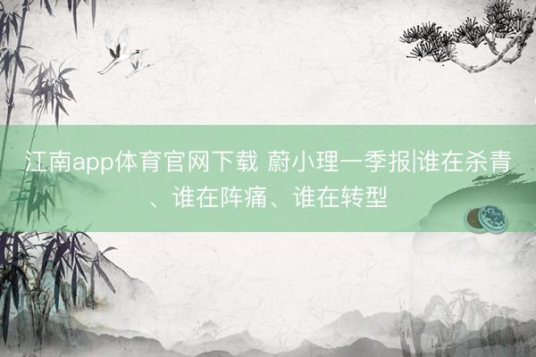 江南app体育官网下载 蔚小理一季报|谁在杀青、谁在阵痛、谁在转型